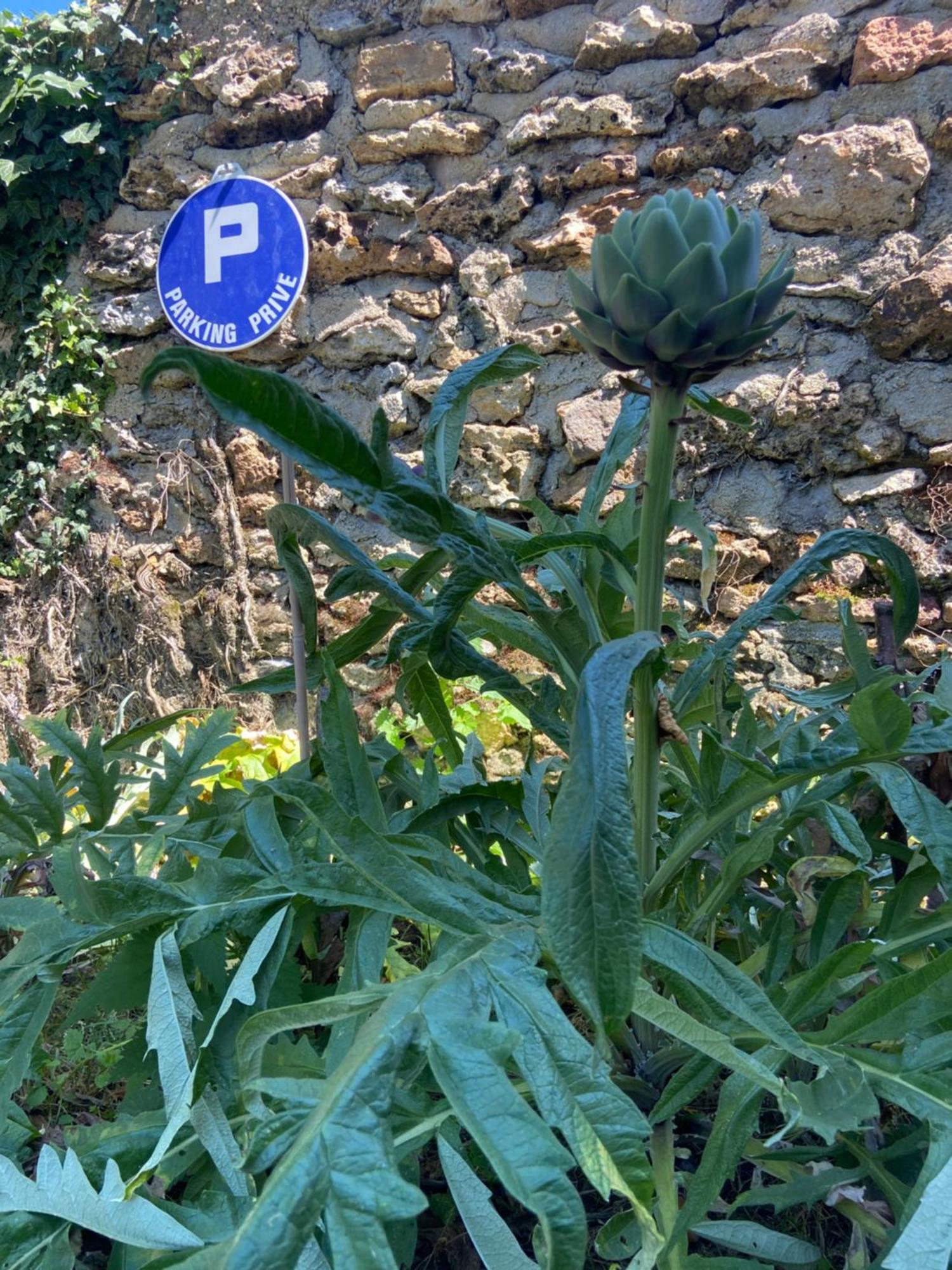 Villa La Petite Maison Dans La Brie à Guérard Extérieur photo